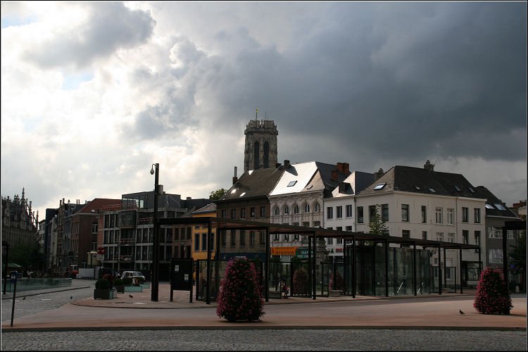 img_8141.jpg