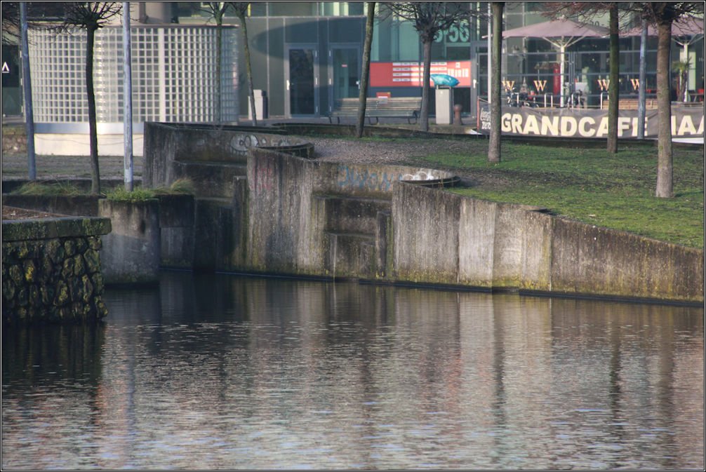 photo8.jpg